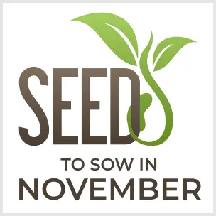 WhatSeedstoSowWhen...